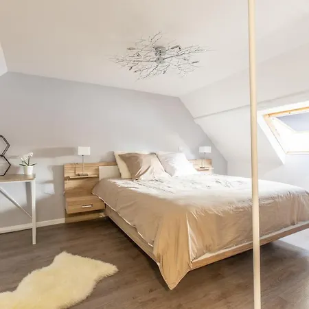 Spacieux Chic - Confort - Proche Parcs & Thermes *