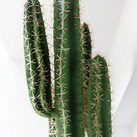 Spacieux Chic - Confort - Proche Parcs & Thermes アパート *