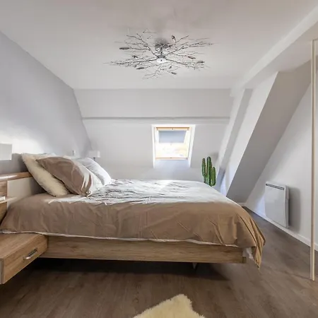 Spacieux Chic - Confort - Proche Parcs & Thermes شقة