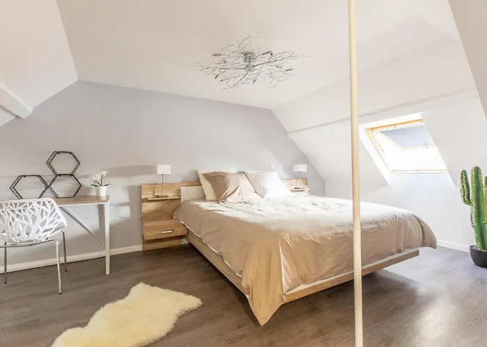 Spacieux Chic - Confort - Proche Parcs & Thermes *