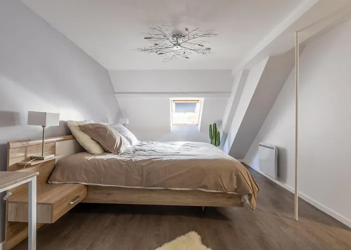 Spacieux Chic - Confort - Proche Parcs & Thermes Apartment