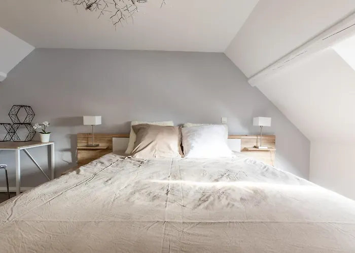 Spacieux Chic - Confort - Proche Parcs & Thermes Apartment Vichy